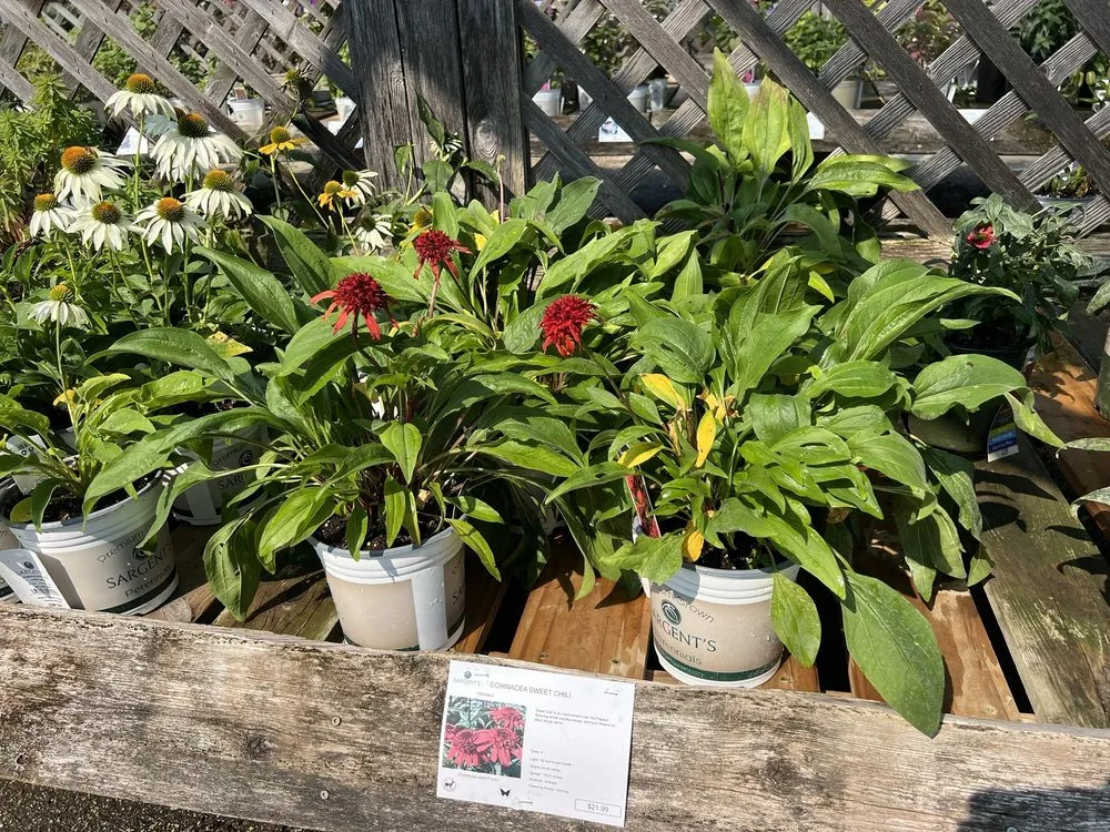 Reliable residential landscaping for residential properties across Rochester, MN - Sargent's On 2nd