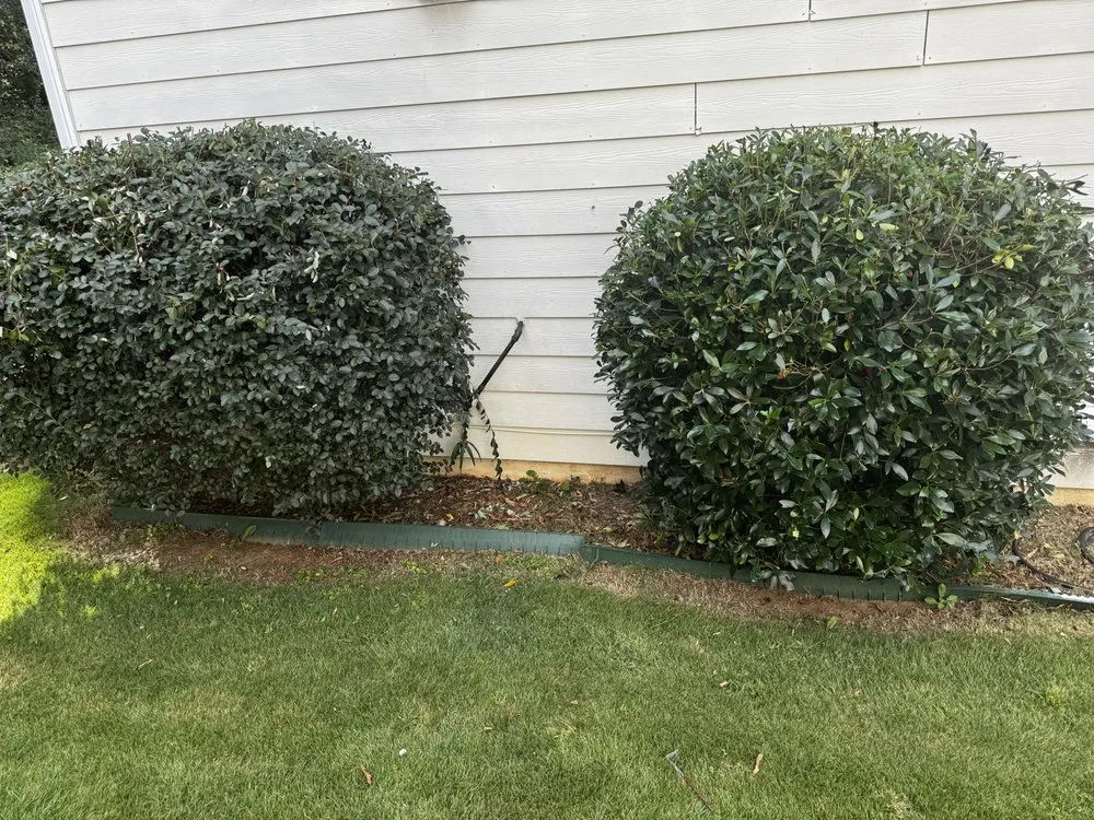 Local residential landscaping for beautiful yards across Kennesaw, GA - Sarge's Landscaping Services