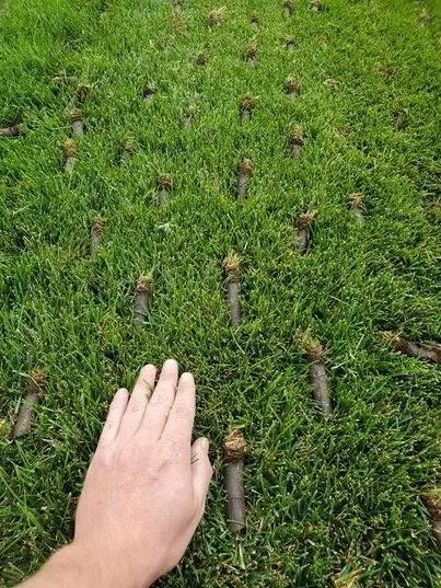 Expert outdoor landscaping in Blue Springs, MO - Sarge's Lawn Care