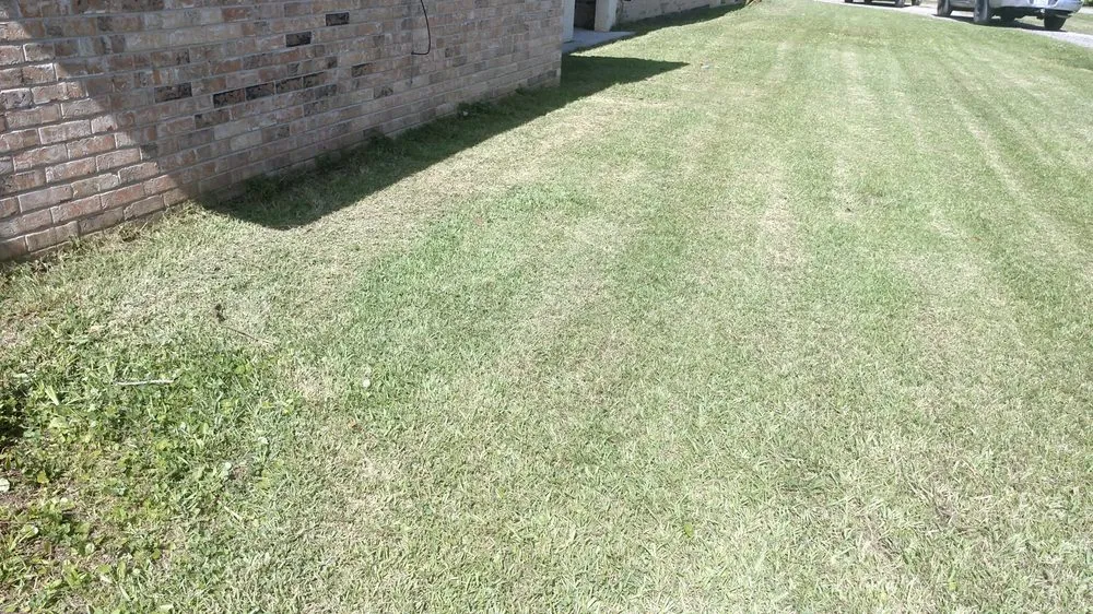 Expert yard cleanup service in Callahan, FL - Sarge's Property Care