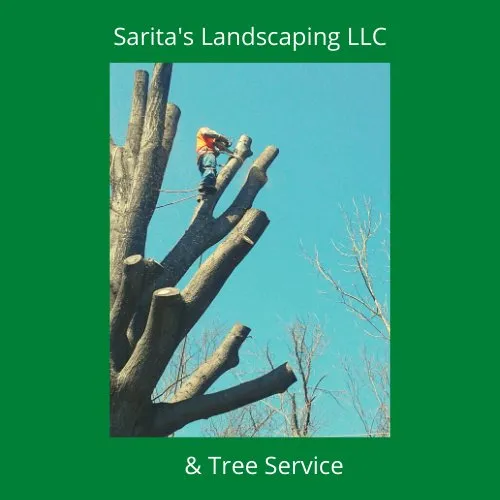 Affordable yard cleanup service in Columbus, OH by Sarita’s Landscaping