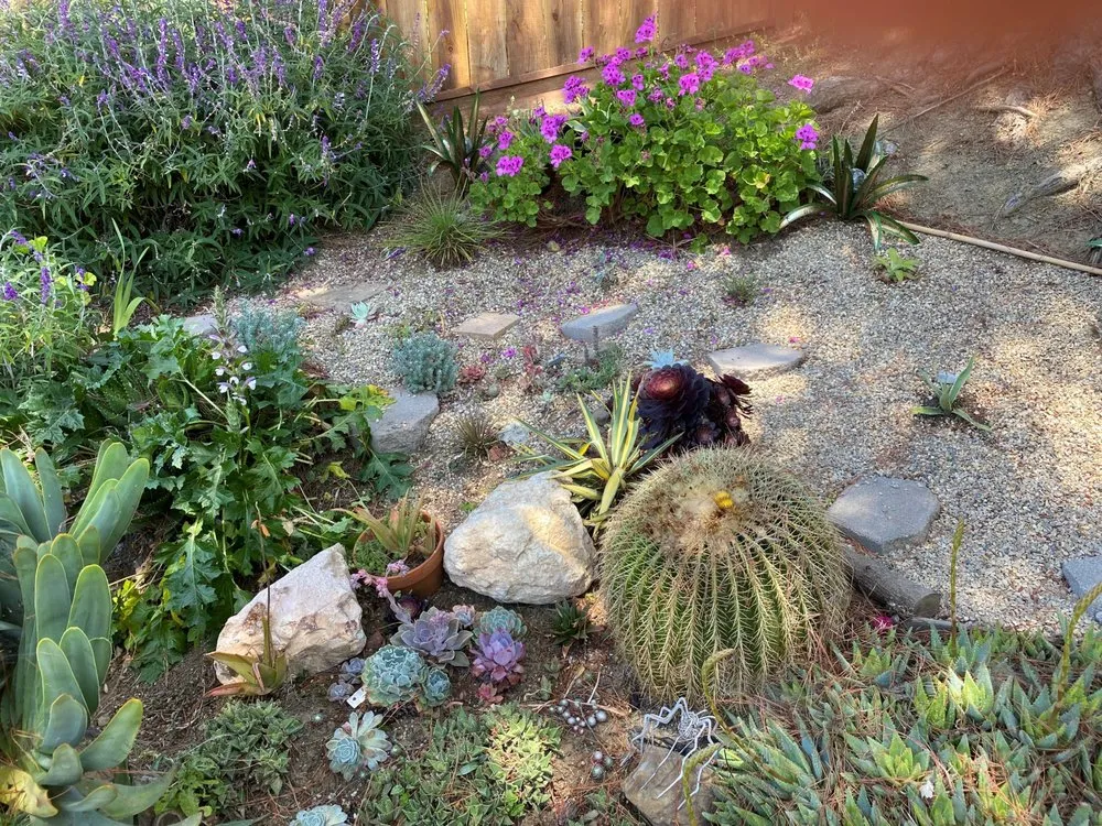 Professional landscape installation near you across Benicia, CA - Saritas's Dry Garden Consulting