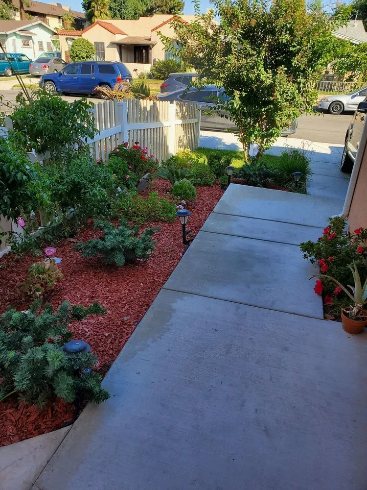 Local lawn care service in Pico Rivera, CA by Sarmiento Landscape