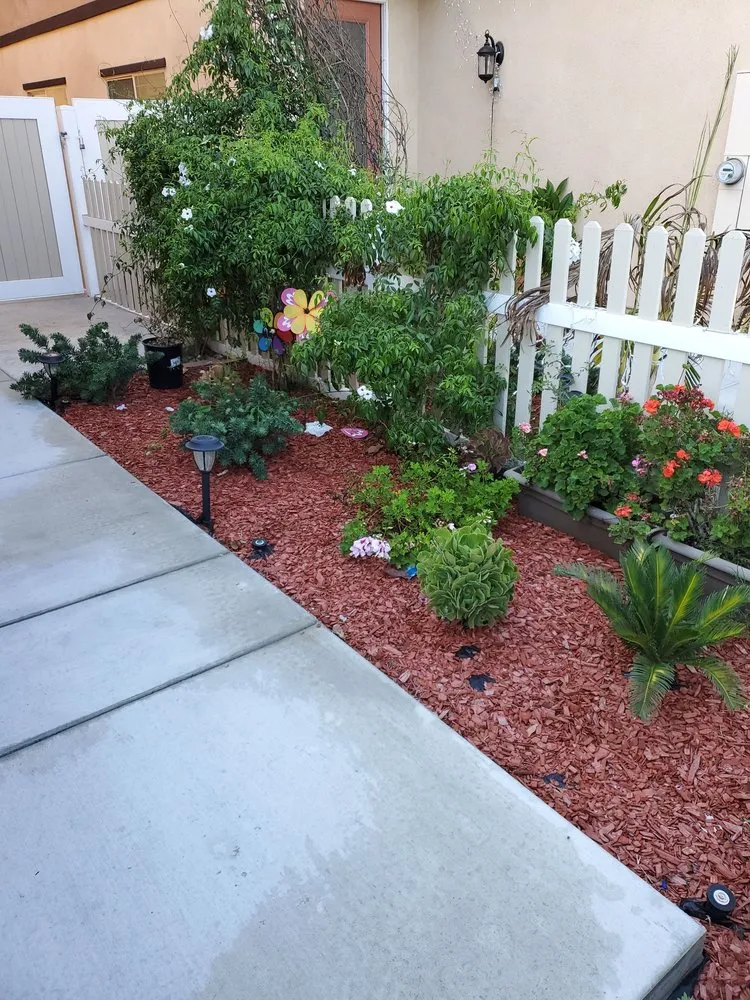 Professional garden landscaping in Pico Rivera, CA by Sarmiento Landscape