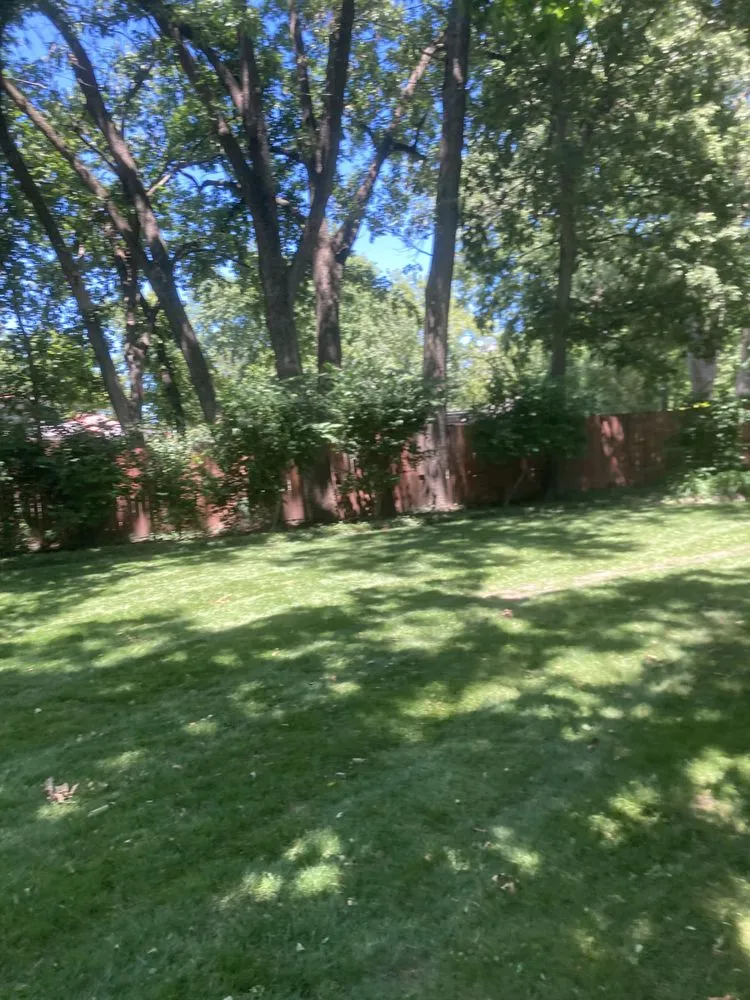 Top-rated landscape installation for year-round maintenance in Saint Louis, MO by SARR Landscaping & Lawn Care