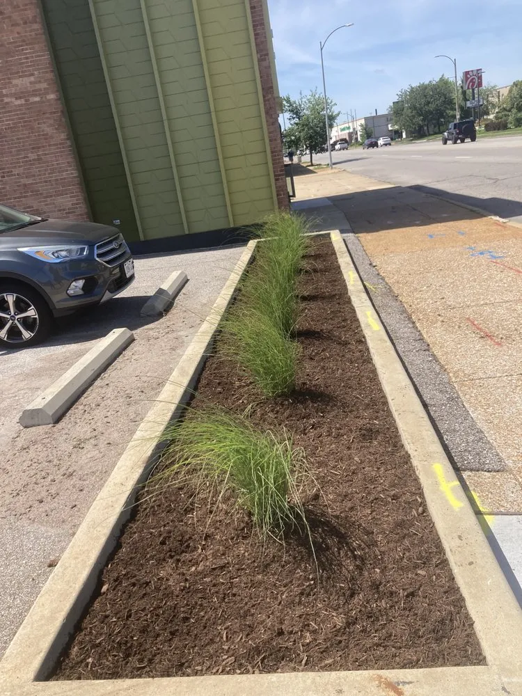 Reliable yard cleanup service experts serving Saint Louis, MO - SARR Landscaping & Lawn Care