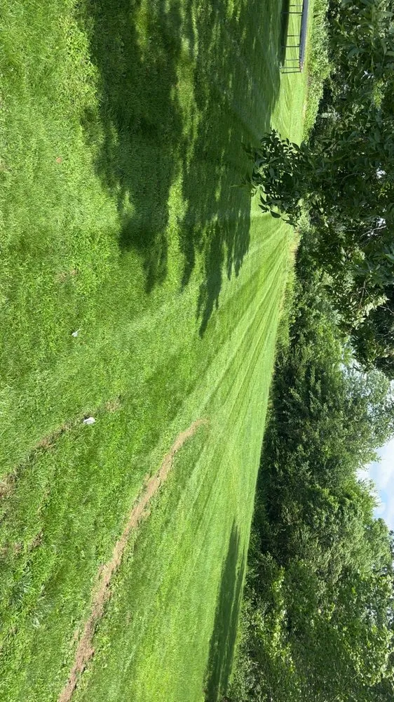 Reliable yard cleanup service for outdoor upgrades across Linton, IN - Sarris's Lawn Care