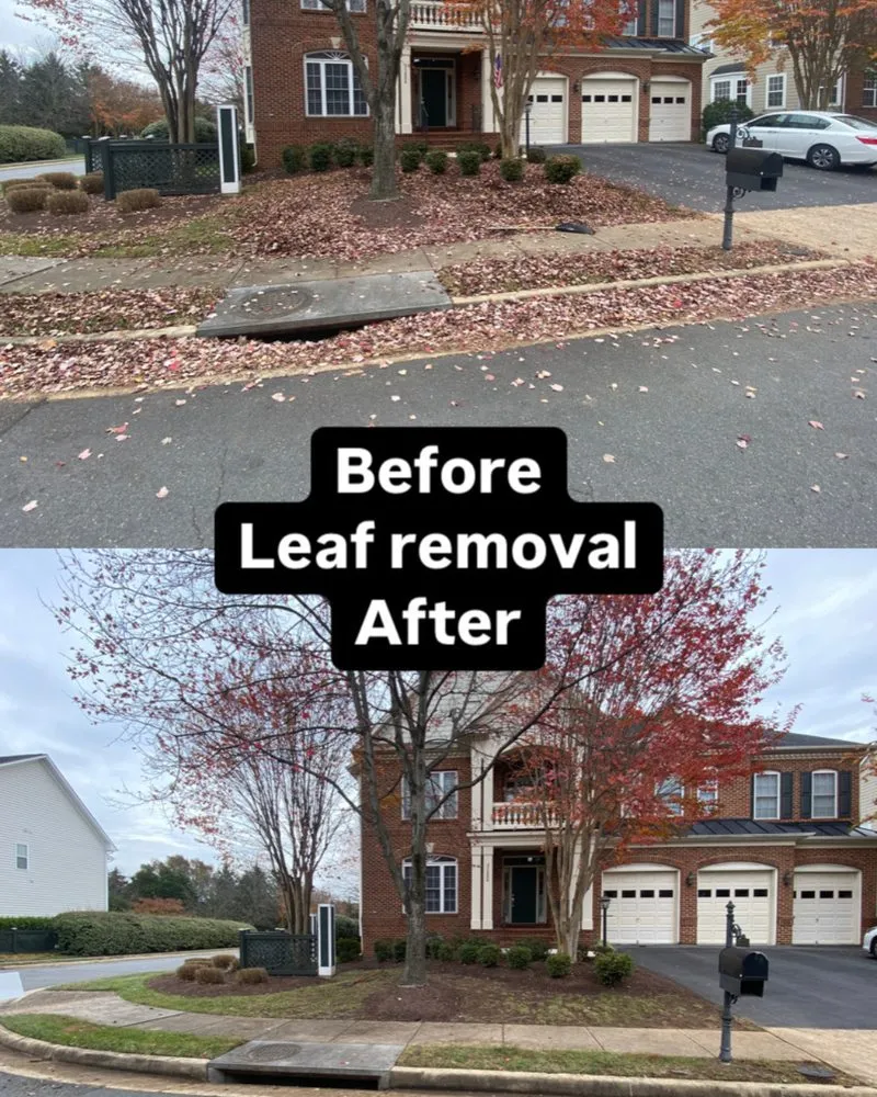 Expert landscape installation for homes in Leesburg, VA by Sar's Home Solutions