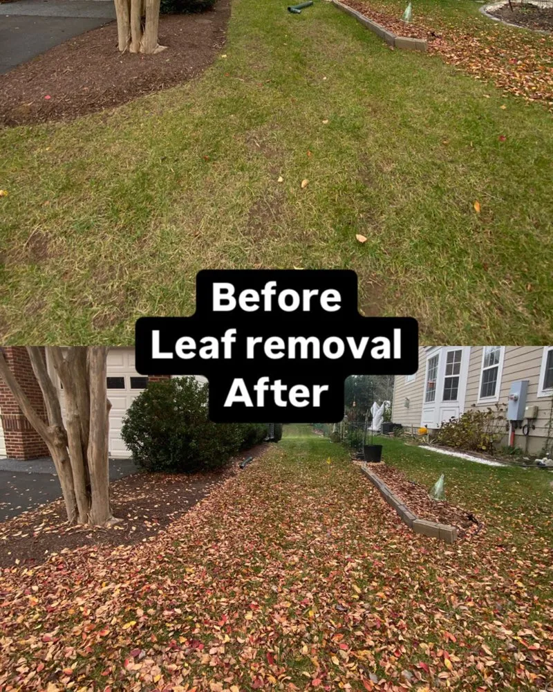 Local yard cleanup service experts serving Leesburg, VA - Sar's Home Solutions