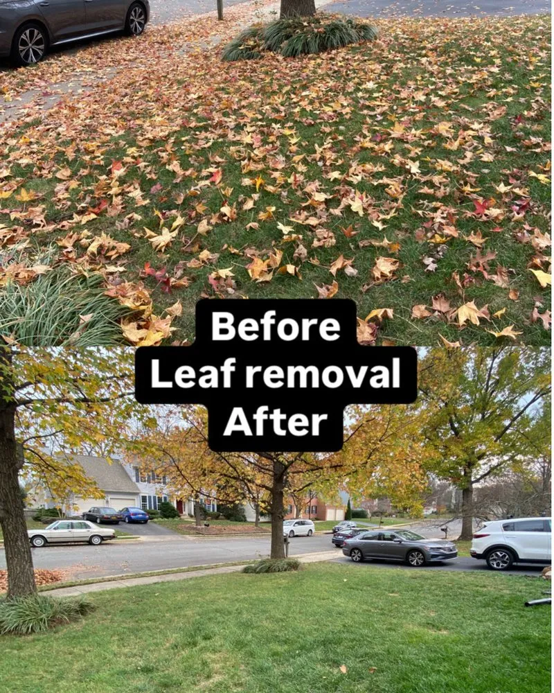 Expert yard maintenance for beautiful yards in Leesburg, VA by Sar's Home Solutions