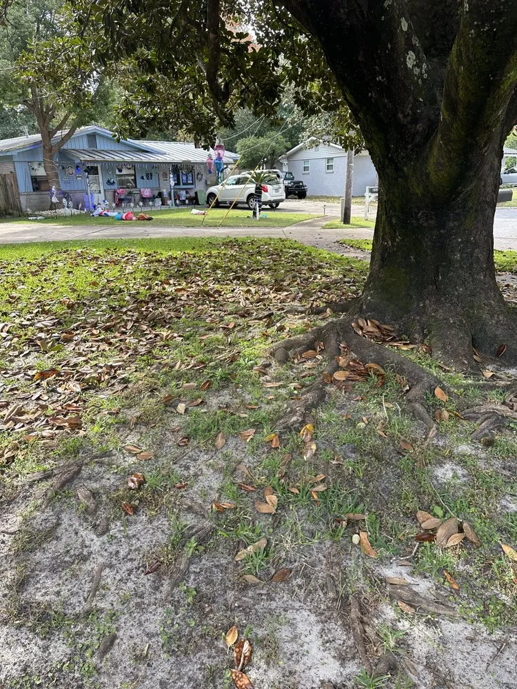 Professional landscaping services for beautiful yards across Crestview, FL - Sarver Landscaping Services