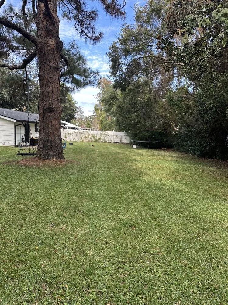 Affordable yard cleanup service in Crestview, FL by Sarver Landscaping Services