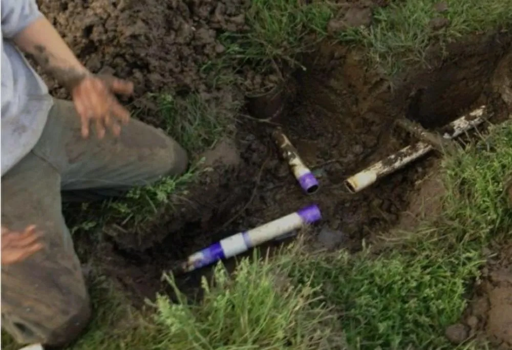 Top-rated landscape installation in Corcoran, MN - SAS Irrigation