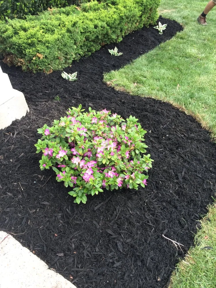 Affordable lawn care service in Pataskala, OH by SAS Lawn and Snow Services
