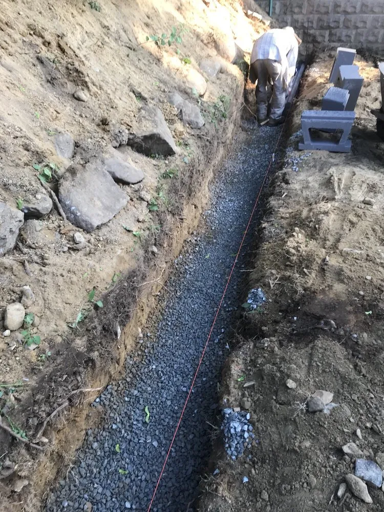 Professional landscape design in Chelsea, MA by Sasha Landscaping