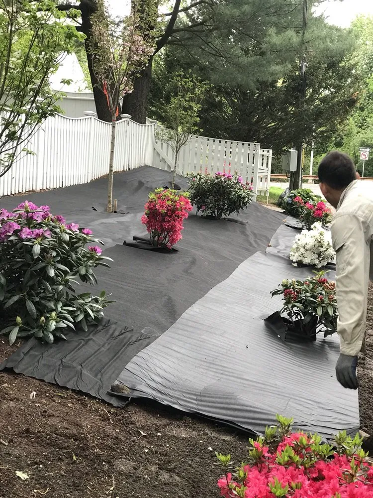 Local lawn care service for residential properties in Chelsea, MA by Sasha Landscaping