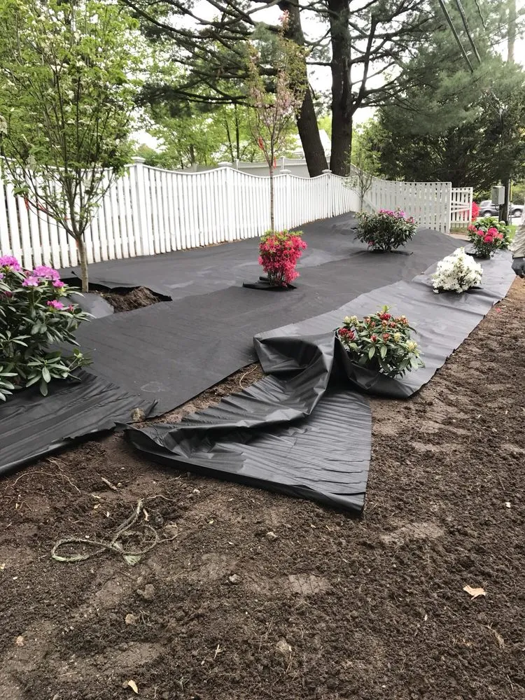 Affordable yard maintenance near you in Chelsea, MA by Sasha Landscaping