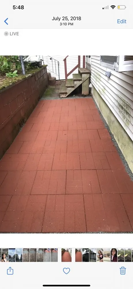 Top-rated landscaping services experts serving Chelsea, MA - Sasha Landscaping