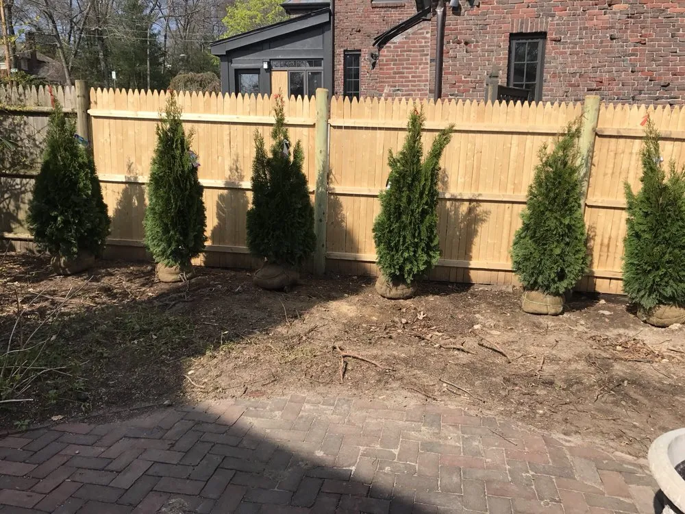 Reliable lawn care service for outdoor upgrades across Chelsea, MA - Sasha Landscaping