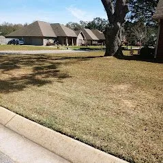 Local yard cleanup service for residential properties in Cantonment, FL by Sasquatch Land & Lawn