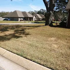 Local yard cleanup service for residential properties across Cantonment, FL - Sasquatch Land & Lawn