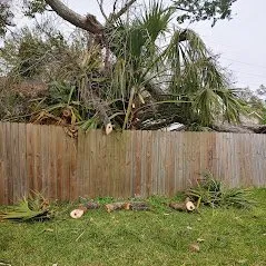 Reliable lawn mowing service in Cantonment, FL by Sasquatch Land & Lawn