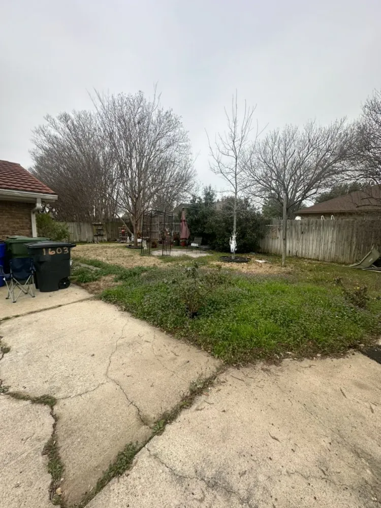 Trusted landscaping services experts serving Fort Worth, TX - Sasquatch Landscaping