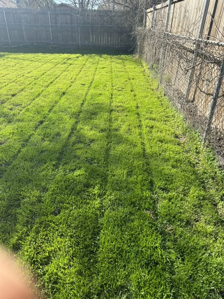 Expert landscape installation experts serving Fort Worth, TX - Sasquatch Landscaping