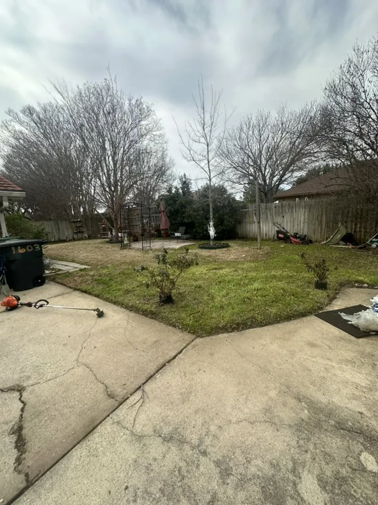 Professional yard maintenance for beautiful yards across Fort Worth, TX - Sasquatch Landscaping