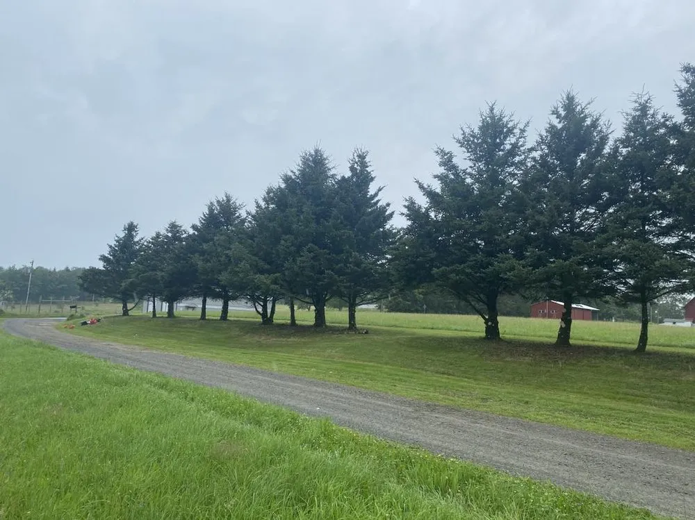 Professional yard maintenance experts serving Waymart, PA - Sasquatch Landscaping