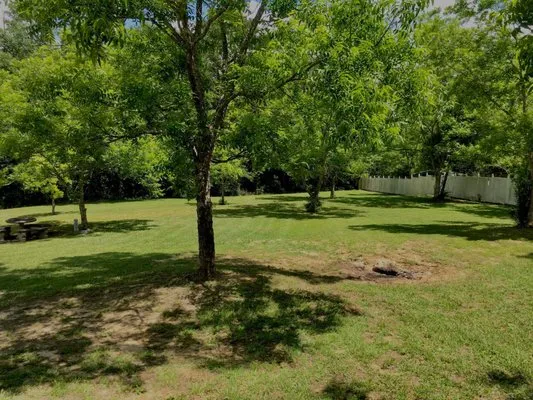 Sasquatch Lawn Care