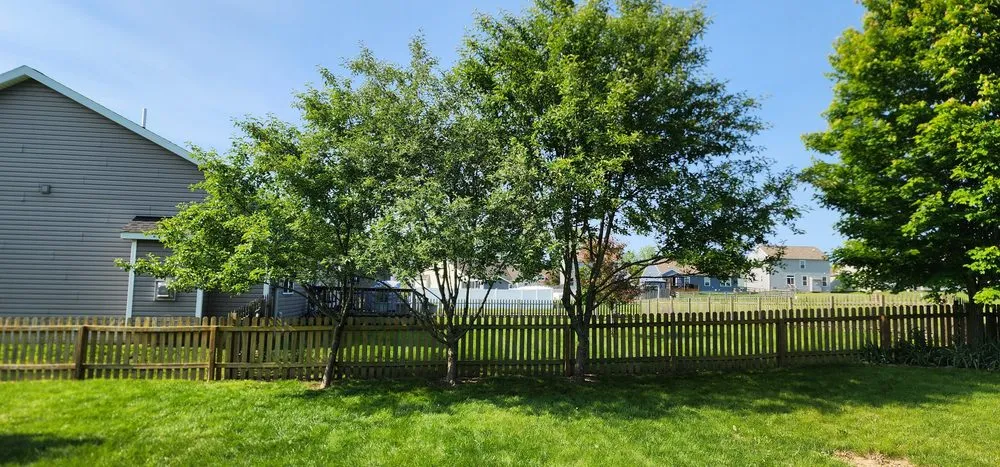 Affordable landscape design in Stoutsville, OH - Sasquatch Lawncare and Landscape