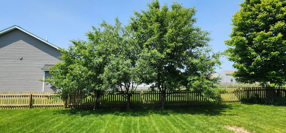Expert landscaping services in Stoutsville, OH by Sasquatch Lawncare and Landscape