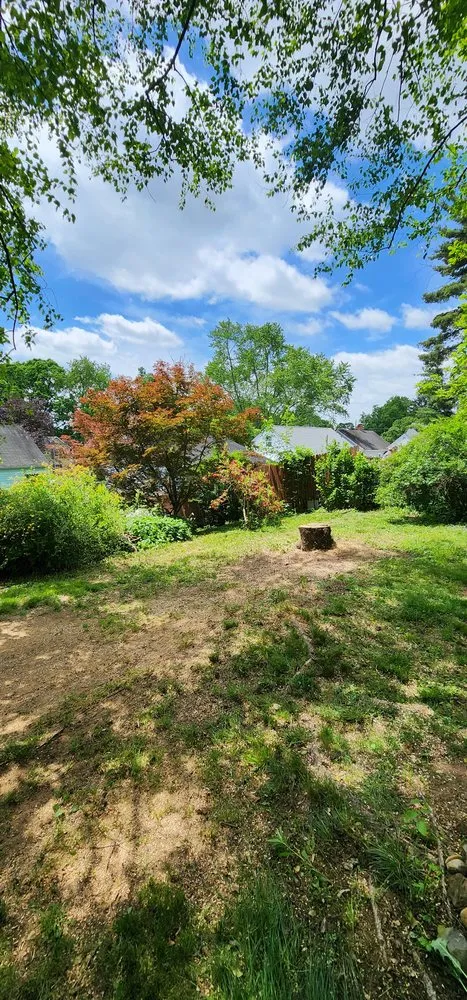 Local yard cleanup service in Stoutsville, OH by Sasquatch Lawncare and Landscape