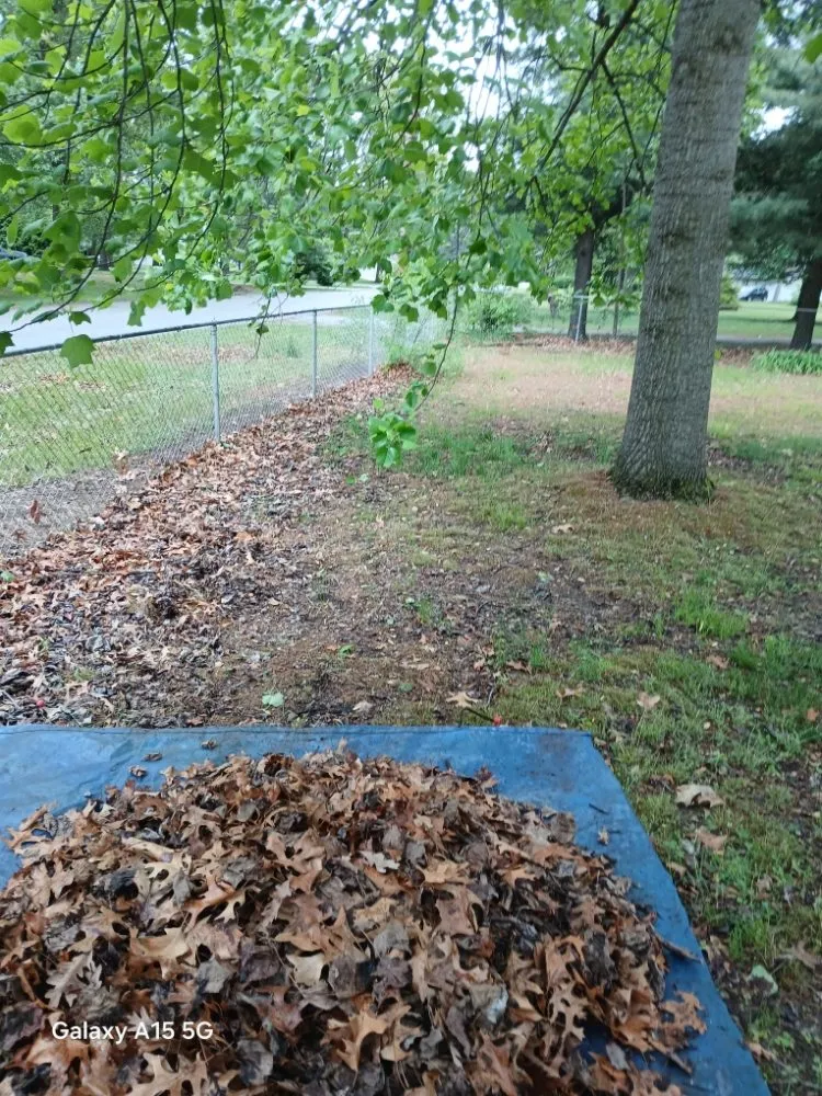 Top-rated yard maintenance in Knox, IN by Sasquatch Property Maintenance