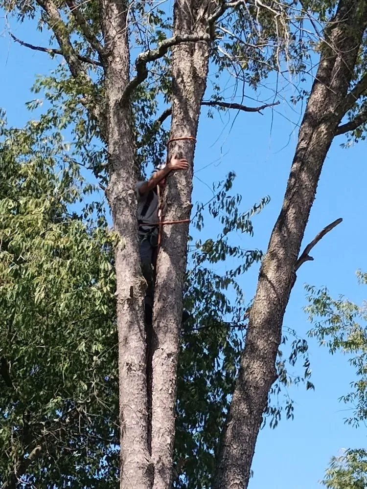 Affordable garden landscaping in Knox, IN by Sasquatch Property Maintenance