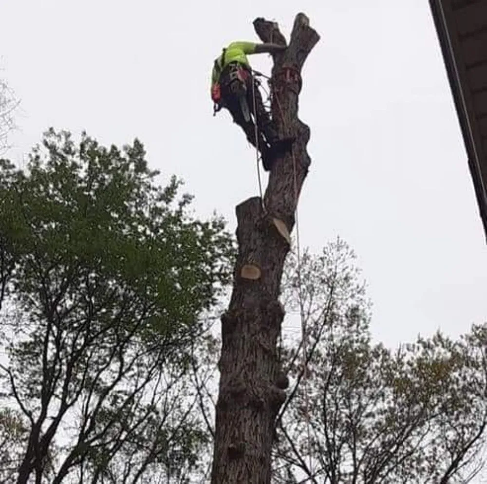 Affordable lawn mowing service for outdoor upgrades across Knox, IN - Sasquatch Property Maintenance