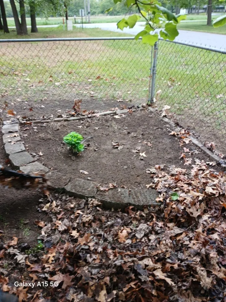 Reliable lawn care service in Knox, IN - Sasquatch Property Maintenance