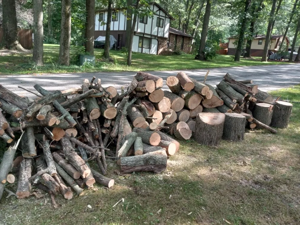 Expert yard cleanup service in Knox, IN - Sasquatch Property Maintenance