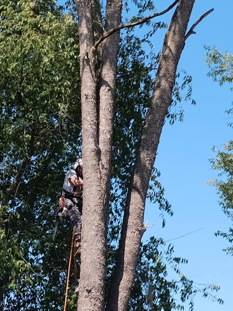 Reliable landscaping services experts serving Knox, IN - Sasquatch Property Maintenance