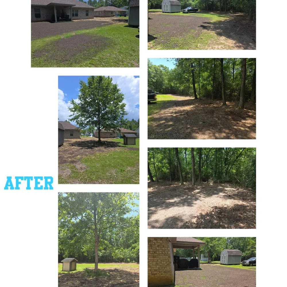Professional landscaping services for beautiful yards across Ocean Springs, MS - Sassano & Sons
