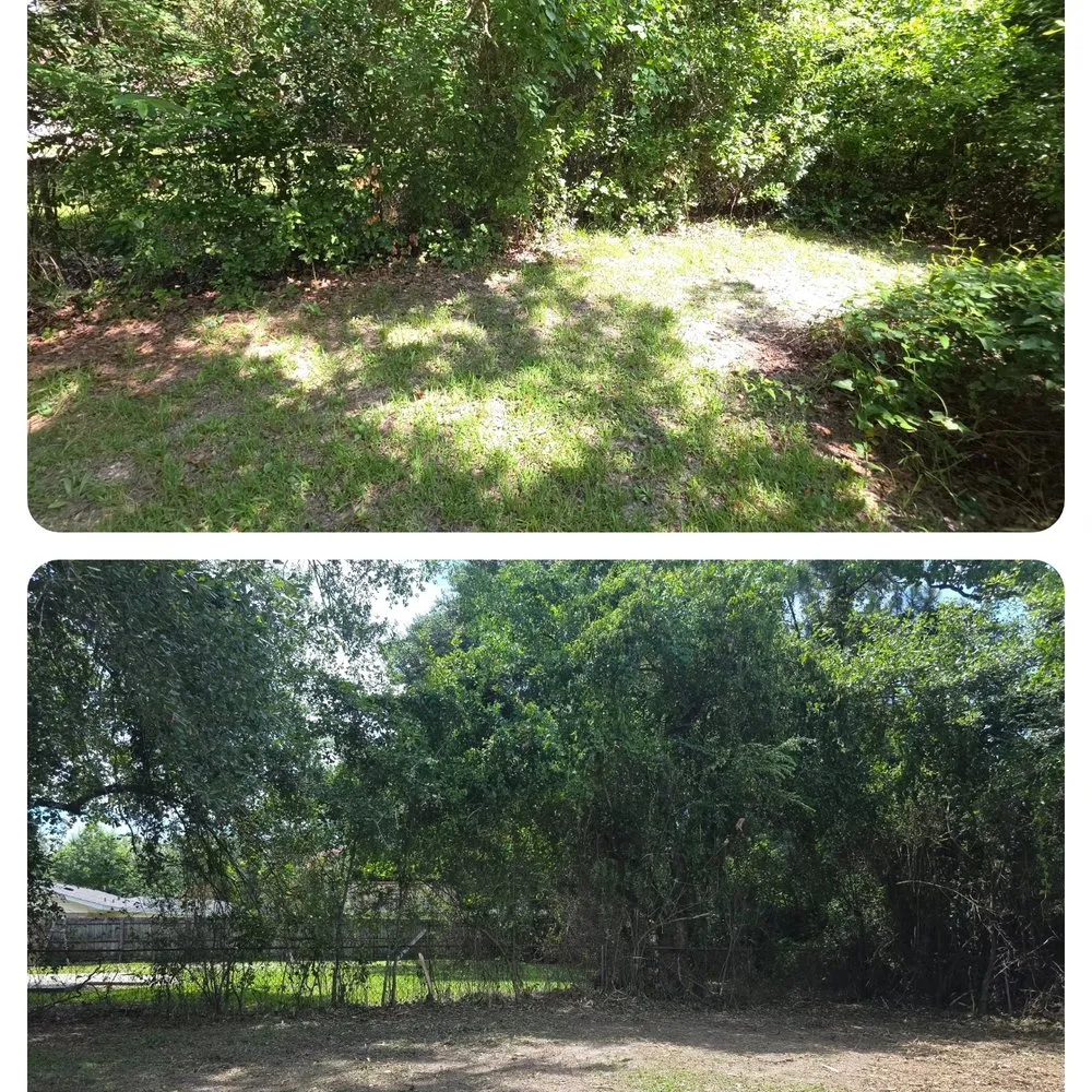 Affordable residential landscaping experts serving Ocean Springs, MS - Sassano & Sons