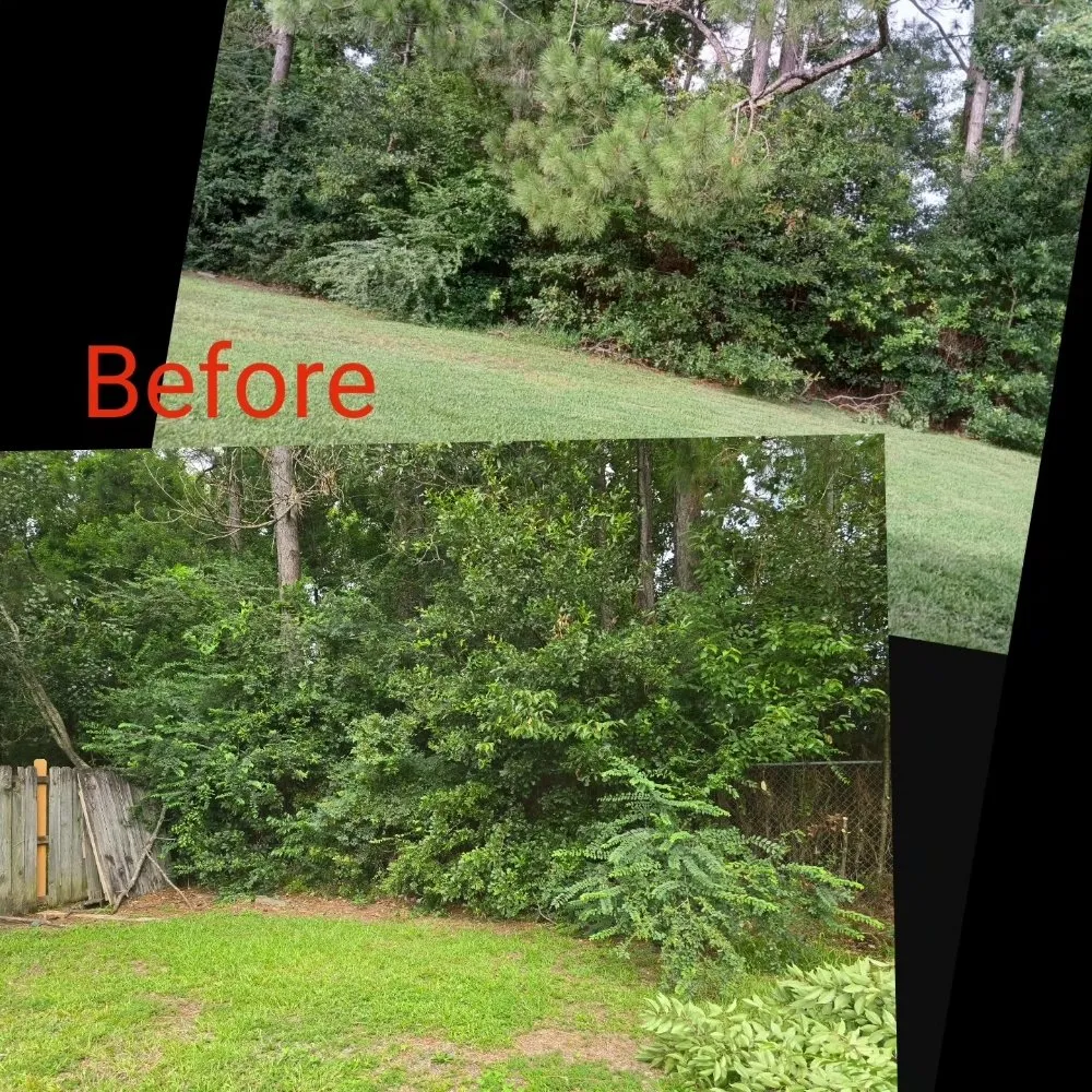 Trusted lawn care service in Ocean Springs, MS - Sassano & Sons