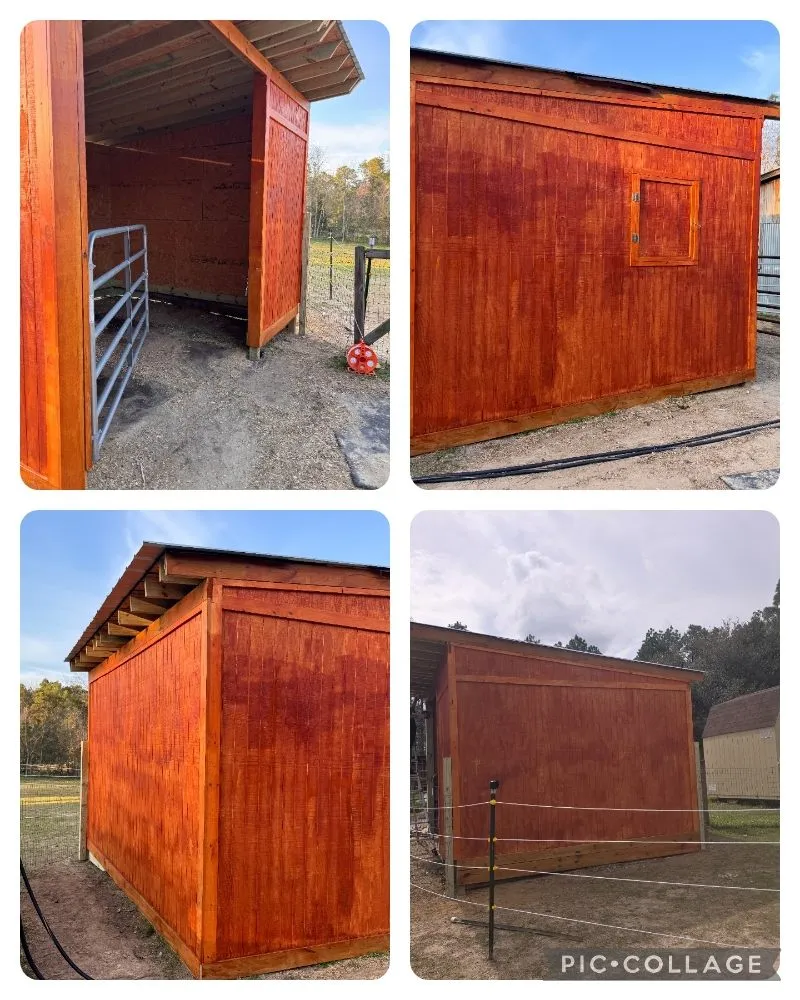 Affordable yard cleanup service in Ocean Springs, MS by Sassano & Sons