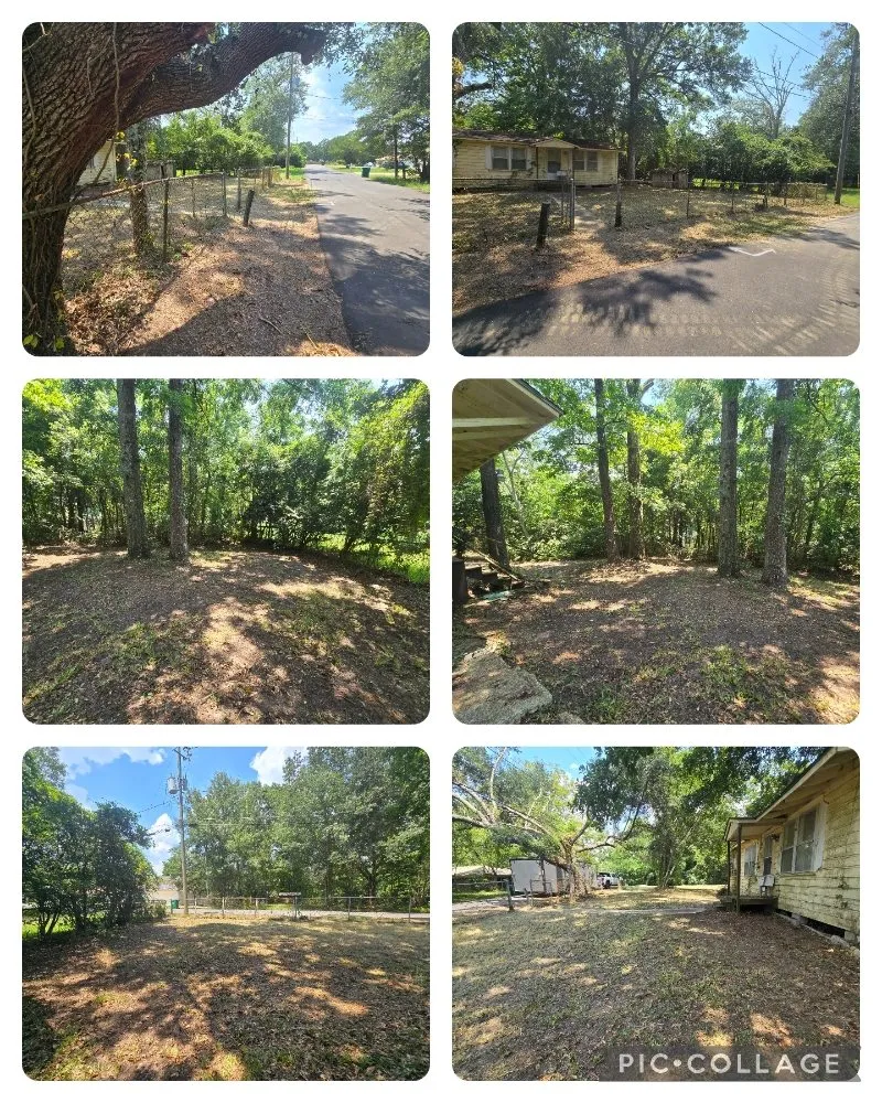 Top-rated lawn mowing service experts serving Ocean Springs, MS - Sassano & Sons