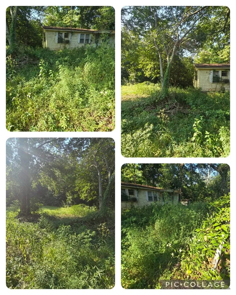 Local landscape installation in Ocean Springs, MS by Sassano & Sons