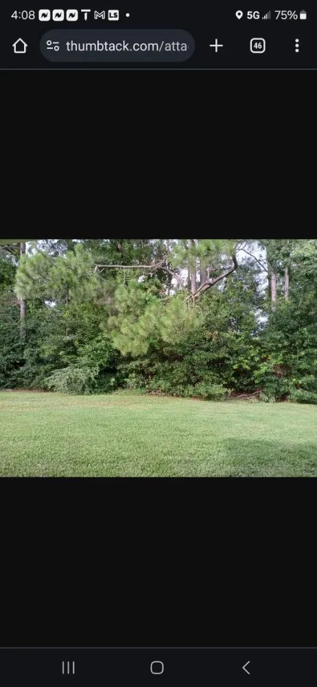 Trusted yard maintenance in Ocean Springs, MS by Sassano & Sons
