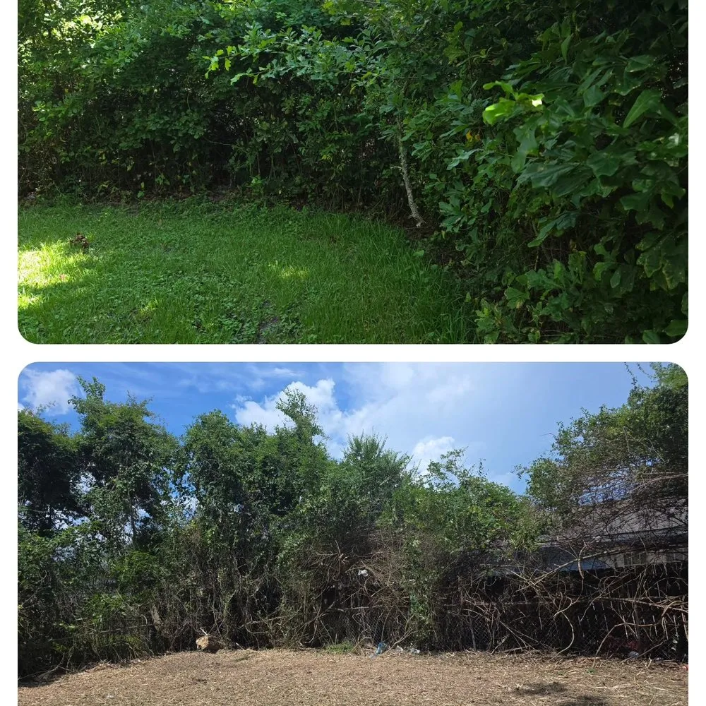 Reliable yard maintenance with custom design in Ocean Springs, MS by Sassano & Sons