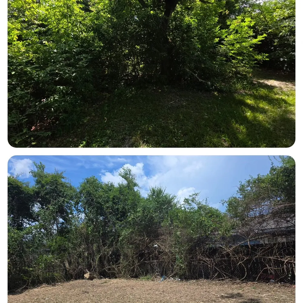 Trusted lawn care service with custom design across Ocean Springs, MS - Sassano & Sons