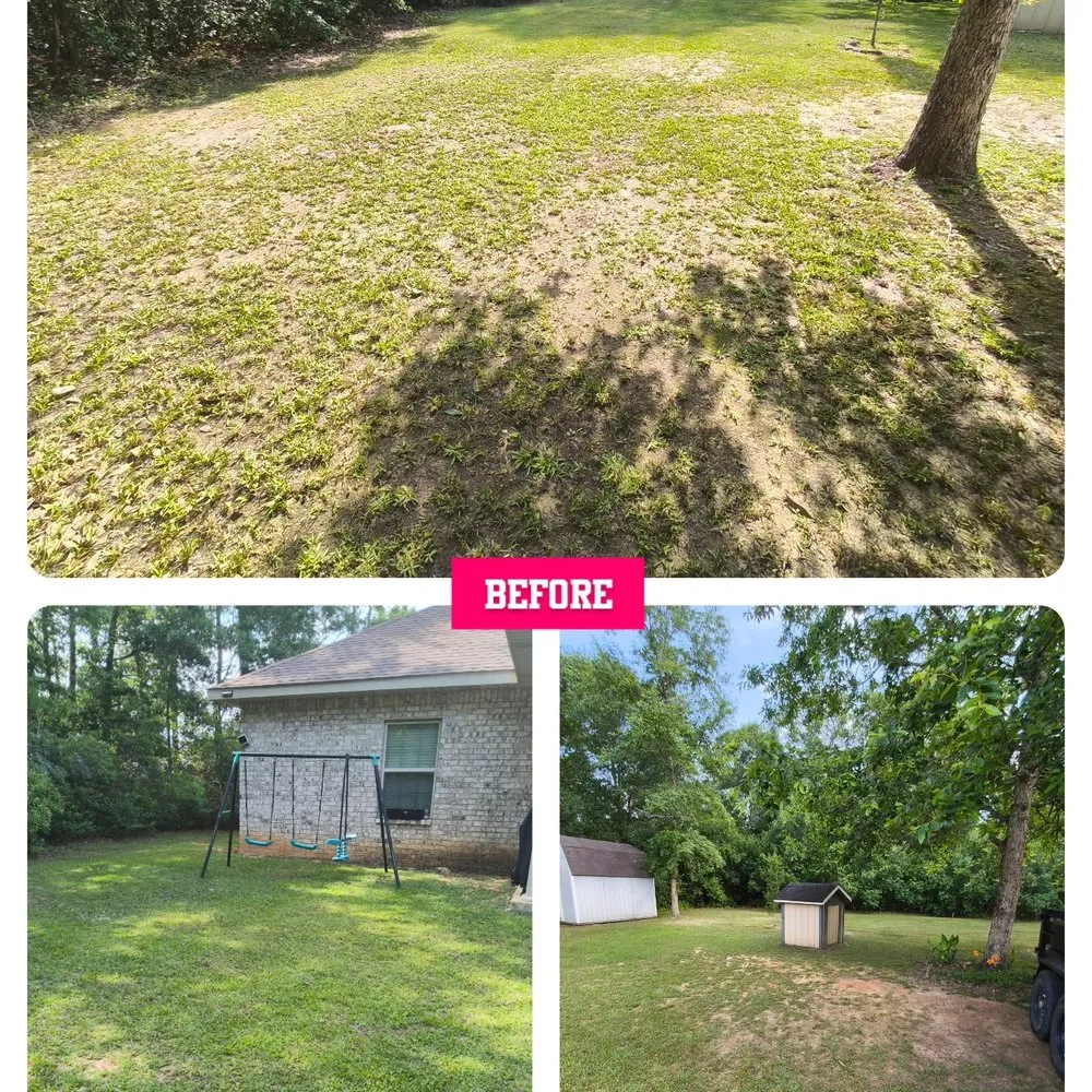 Top-rated landscape installation for homes across Ocean Springs, MS - Sassano & Sons